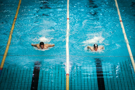 مسابقات لیگ برتر شنا